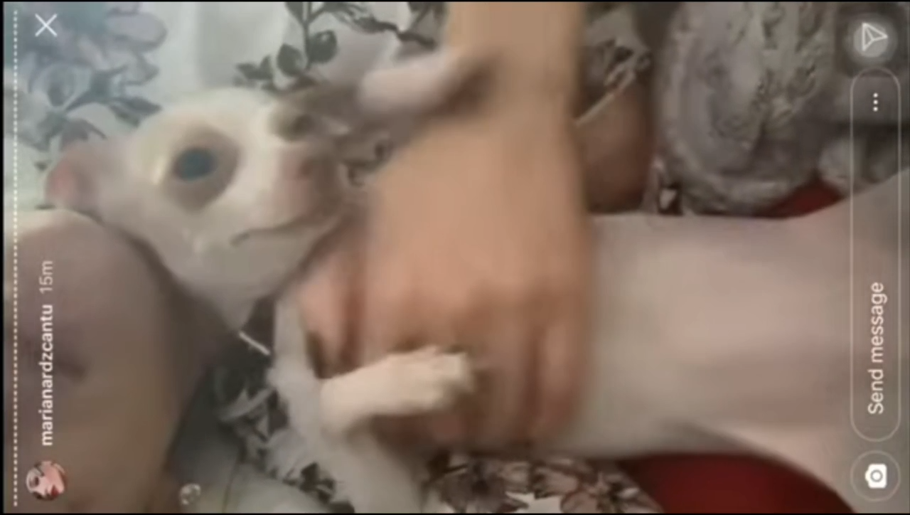 Mariana Rodriguez Tetas